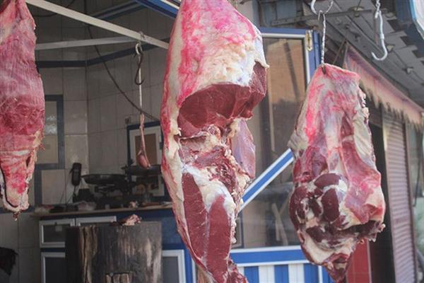 بيطري الوادي الجديد: حملات للتأكد من صلاحية اللحوم بالمحال والأسواق
