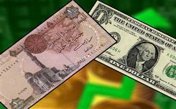   استقرار سعر الدولار مقابل الجنيه المصري ببداية تعاملاته 