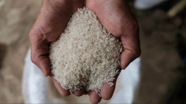 محافظ الغربية: توريد 36 ألفا و780 طن أرز