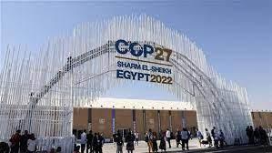 منصة منتدى شباب العالم تنظم جلسة حول "دور الإعلام في مشاركة الأطفال في العمل المناخي"