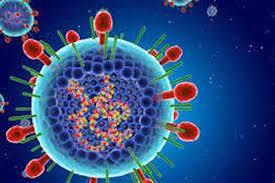   استشاري يكشف الفرق بين أعراض كورونا والفيروس المخلوي
