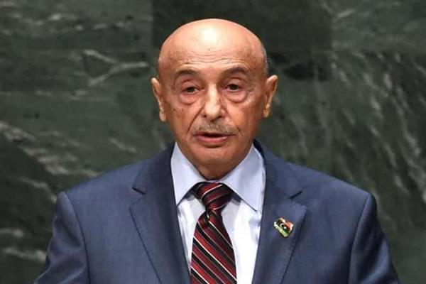 رئيس النواب الليبي والمبعوث الأممي يبحثان سبل الخروج من حالة الانسداد السياسي