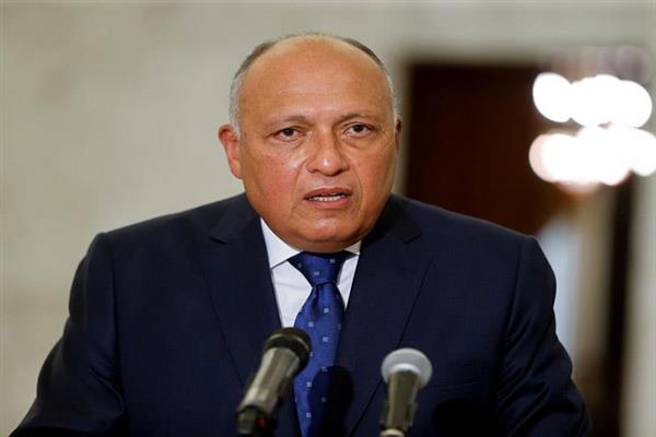 شكري يبحث مع وزير المناخ الياباني التعاون الثنائي في المجالات المرتبطة بالبيئة