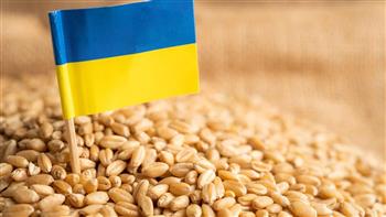   أمريكا تخصص 20 مليون دولار لتمويل توصيل الحبوب الأوكرانية لأكثر الفئات ضعفًا في العالم