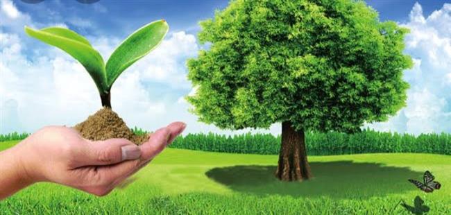 من خلال مبادرات الهيئة القبطية الإنجيلية.. «المرشد الذكي» لمواجهة المخاطر ودعم القرى الأكثر فقرا
