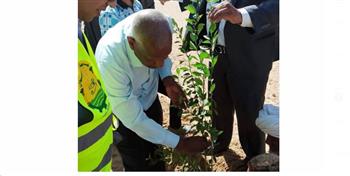   جامعة أسوان تشارك في زراعة 1000 شجرة مثمرة بقرية فارس 