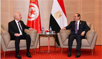   الرئيس السيسى: مصر تدعم جهود مسيرة التنمية فى تونس