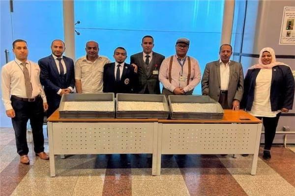 إحباط محاولة تهريب كمية من الأقراص الدوائية بمطار الغردقة