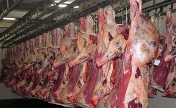   الغرف التجارية تكشف سبب استقرار أسعار اللحوم
