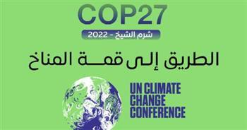 محمد فايز فرحات: مصر نجحت في إدارة قمة المناخ cop27