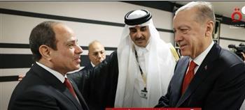   خبير علاقات دولية لـ«القاهرة الإخبارية» عن قمة السيسي وأردوغان: تركيا راجعت سياساتها الخارجية بالكامل 