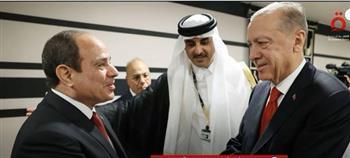 خبير علاقات دولية لـ«القاهرة الإخبارية» عن قمة السيسي وأردوغان: تركيا راجعت سياساتها الخارجية بالكامل 