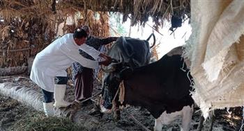   "الخدمات البيطرية": نستهدف تحصين 4 ملايين ماشية ضد الحمى القلاعية والوادي المتصدع