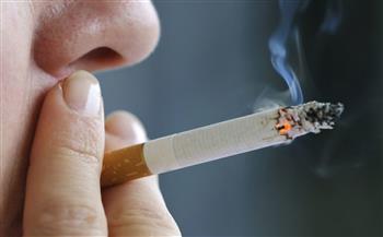   في السنة.. المصريون يدخنون 70 مليار سيجارة و6 آلاف طن معسل