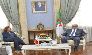   الجزائر والتشيك توقعان على إعلان النوايا المشترك للتعاون الثنائي في مجال الطاقة