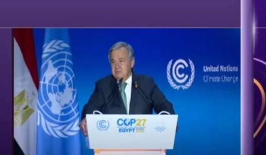 مجدي علام: cop27 حقق ما لم يتم في 26 قمة سابقة |فيديو
