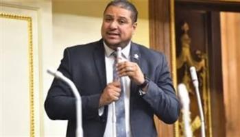النائب محمد إسماعيل: الدولة المصرية تتجه نحو توطين الصناعة.. فيديو