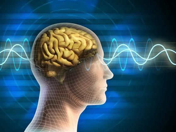 رئيس جراحات المخ بـ«الرعاية الصحية»: المخدرات الرقمية خطيرة.. مدمنها ضار بنفسه