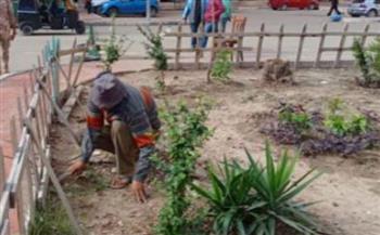   محافظ الإسكندرية: زارعة 30396 شجرة منذ بدء تنفيذ مبادرة 100 مليون شجرة 