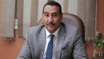   «الجبلاوي»: قرار البرلمان الأوروبي عن مصر يستند للأكاذيب