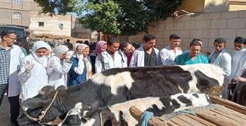 جامعة جنوب الوادي تُنظم قافلة بيطرية بنجع العروبة بقرية البراهمة