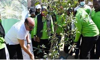   محافظ أسوان: خطة لتطوير وتجميل الحدائق والمتنزهات ضمن مبادرة 100 مليون شجرة