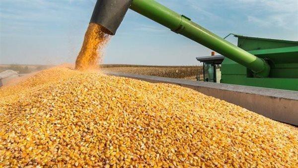« الزراعة» تعلن الإفراج عن 756 ألف طن ذرة وفول صويا وإضافات أعلاف
