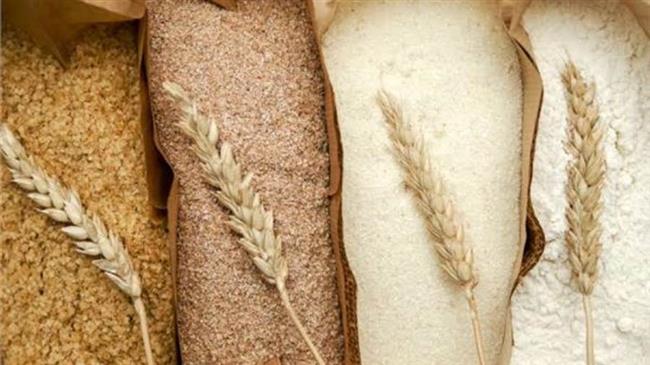 البورصة المصرية تنطلق اليوم لإنهاء الاحتكار
