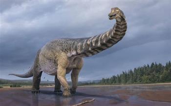   رأسه مسطح.. اكتشاف ديناصور جديد عاش قبل 70 مليون سنة