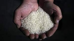   الداخلية تضبط 763 طن أرز شعير وأبيض تم حجبها عن البيع خلال 24 ساعة