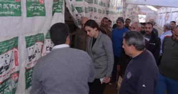 مشروع لإعادة الثروة الحيوانية بسيدي غازي بكفر الدوار 