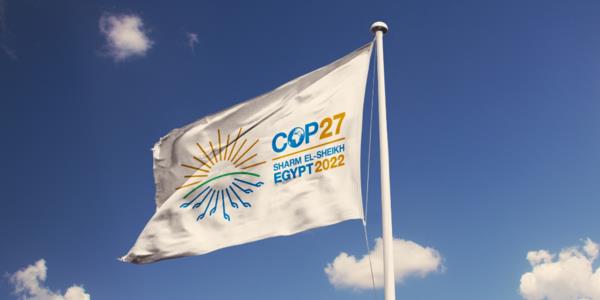 عضو بمجلس الشيوخ: «COP27» يناقش التغيرات المناخية وتأثيراتها على الزراعة والصناعة