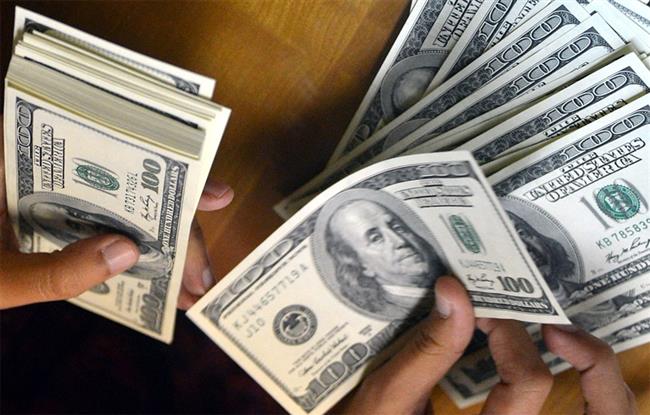 استقرار أسعار الدولار اليوم 