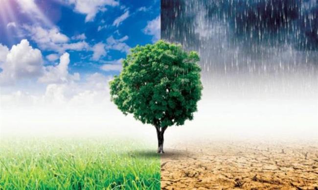 قبل COP27 فى شرم الشيخ.. خبراء: التغيرات المناخية أكبر تهديد لصحة البشر
