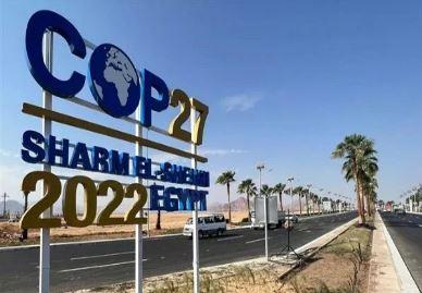 عضو مراقب بمؤتمر المناخ: قمة شرم الشيخ مباراة دبلوماسية على مستوى العالم.. فيديو