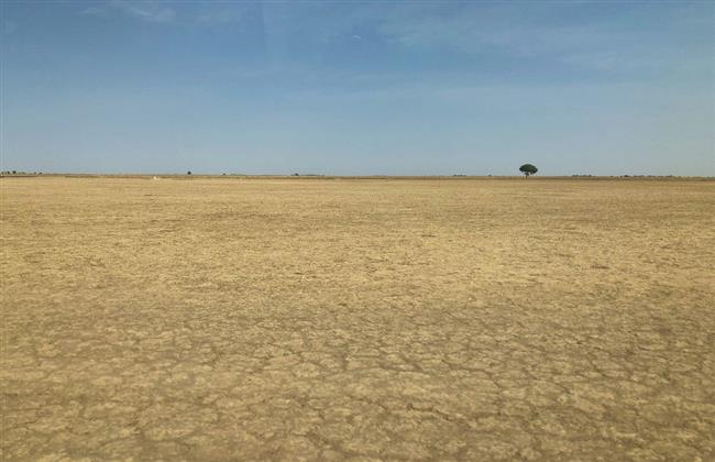 مسئول باتفاقية الأمم المتحدة لمكافحة التصحر: يجب أن تنتقل COP 27 من الوعود إلى التنفيذ