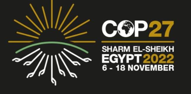 بريطانيا تطلق "شراكة قادة الغابات والمناخ" في COP27