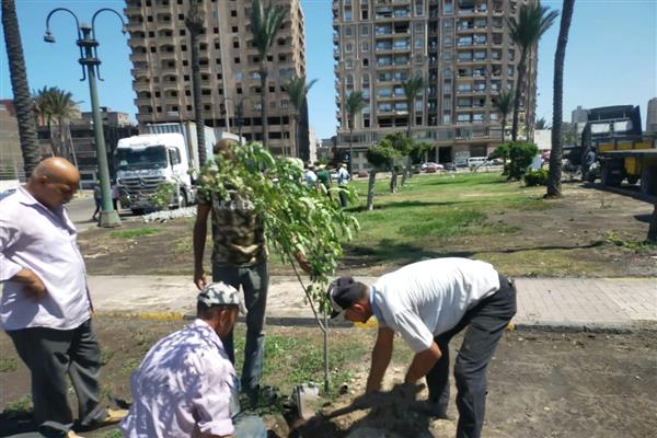 محافظ الإسكندرية: نعمل علي زيادة الأشجار المثمرة وتشجير الطرق الرئيسية