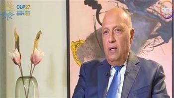 المجلس الوطني للعلاقات العربية الأمريكية: ما أصبحت عليه مصر أشبه بالمعجزة