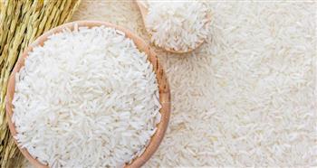   وزير التموين: مصادرة أي أرز مجهول المصدر