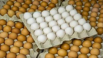   انخفاض أسعار كرتونة البيض داخل الأسواق