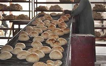   تموين البحيرة: ضبط 13 مخبزًا مخالفًا فى مركز كفر الدوار