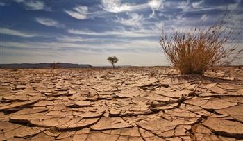   تقرير دولى: التغيرات المناخية فى شرق أفريقيا تهدد حياة 36 مليونا من السكان
