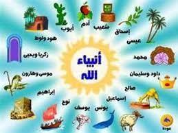 كم عدد الأنبياء؟.. علي جمعة يوضح