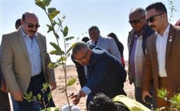 مؤسسة هنجملها تهدي محافظة أسوان 3 ألاف شجرة مثمرة