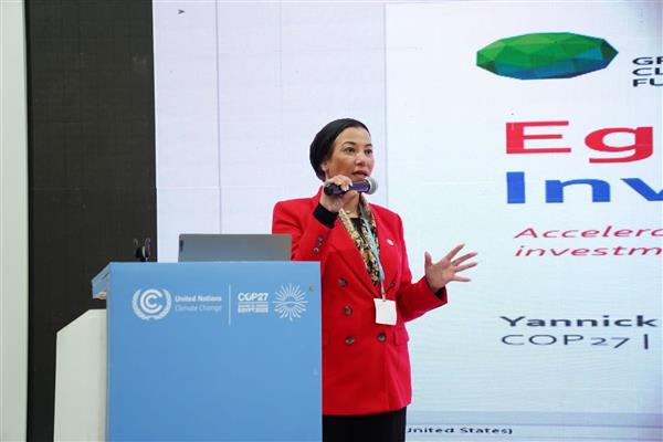 وزيرة البيئة: نحتاج حوالي ٣٠٠ تريليون دولار للتكيف مع التغيرات المناخية حتى عام ٢٠٣٠