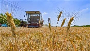   بيلاروسيا توافق على عبور صادرات الحبوب الأوكرانية عبر أراضيها