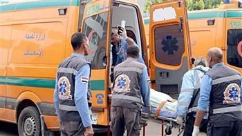 ننشر المصابين في حادث انقلاب سيارة بالإسماعيلية