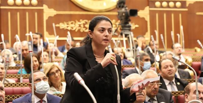 النائبة هند جوزيف توضح أهمية القمة العربية الصينية بالرياض اقتصاديا وسياسيا  