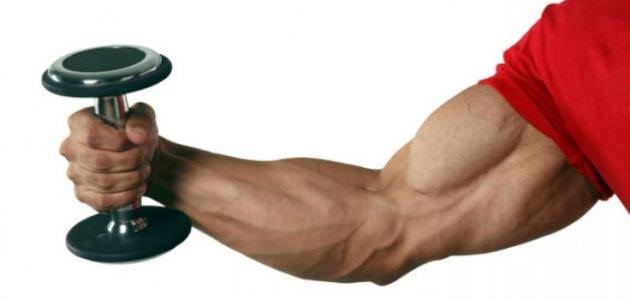 تطوير عضلات اصطناعية أقوى من البشرية 17 مرة